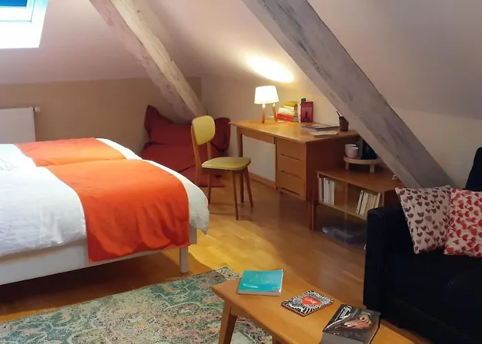 La Chouette Maison - Chambres D'Hotes Et Gite En Ville Remiremont