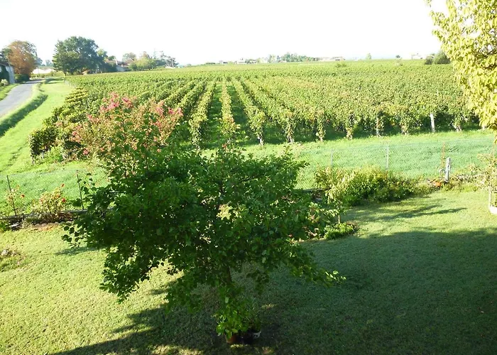 Le Clos des Rosiers Saint-Émilion