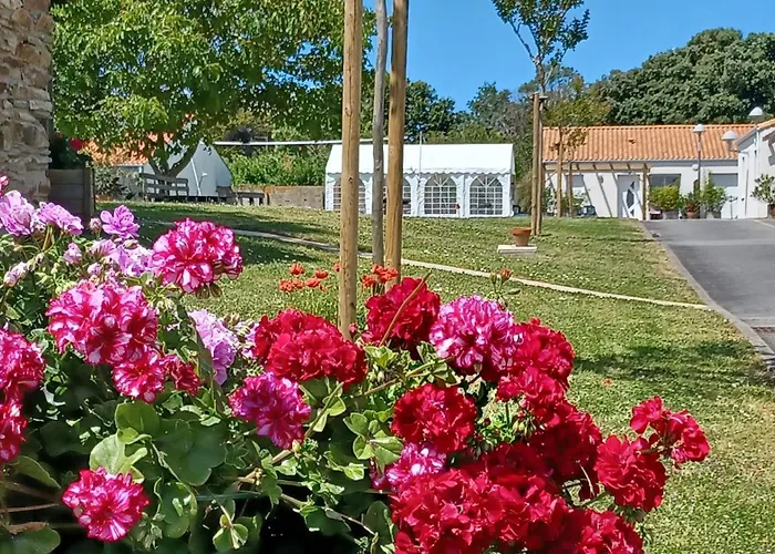 Résidence Les Océanes Les Sables-dʼOlonne
