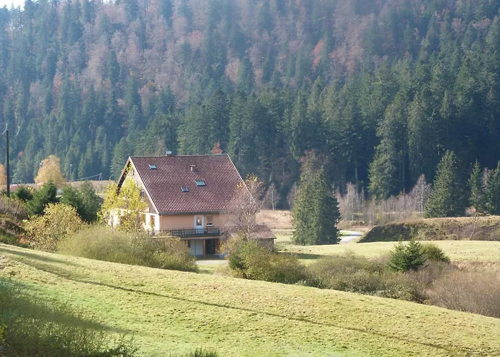 Auberge Des Hauts Viaux La Bresse