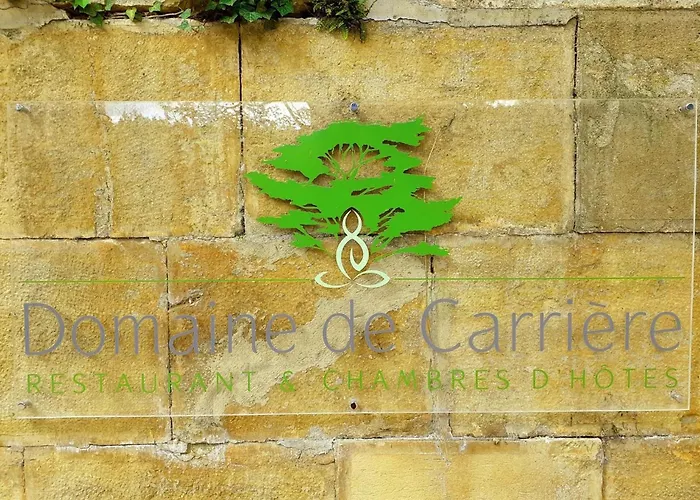 Hotel Domaine de Carrière à Marvejols