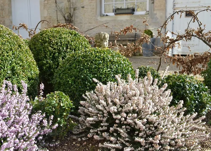 La Maison Des Buis Falaise 